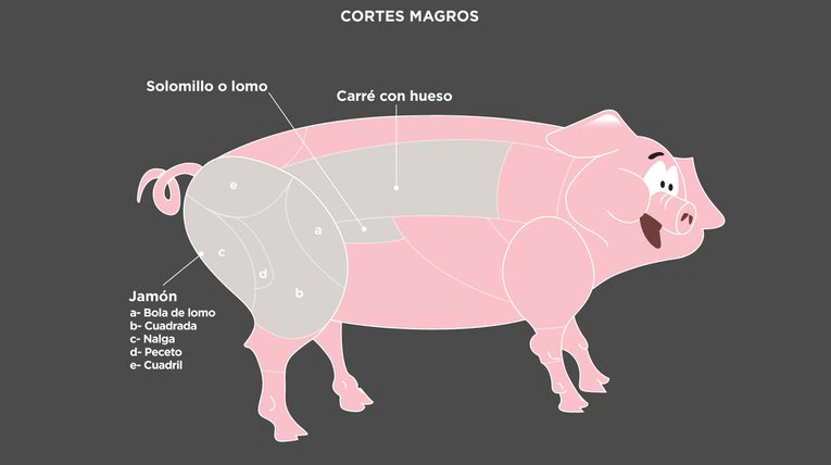 You are currently viewing Beneficios de consumir carne de cerdo